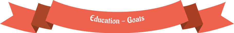 educationgoatsrib_03